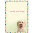 Friendship - Encouragement GCD73196